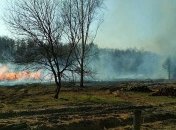 Пожар в лесничестве на Черниговщине тушили авиацией: фото