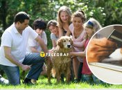 Банковские переводы между родными