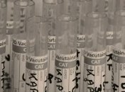 В Україні виготовили першу партію тестів на коронавірус