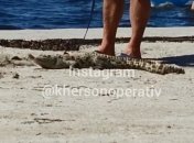 Доки це буде тривати? Мережу схвилювали фото крокодила на пляжі в Скадовську
