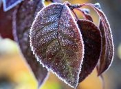 Праздник 8 ноября: народные приметы и запреты