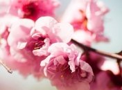 Прогноз погоды в Украине на 5 мая: солнечно только на западе