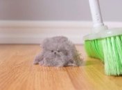 Какие опасности могут подстерегать людей в собственных квартирах