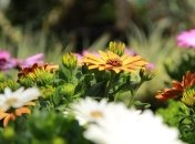 Поздравления с Днем Николая Чудотворца: стихи и открытки