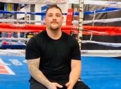 Руководители WBA и WBС хотят боя Уайлдер - Руис