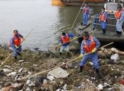 Из реки Шанхая продолжают вылавливать мертвых свиней