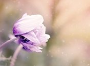 24 июля - праздник, что категорически запрещено делать, главные приметы