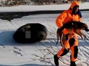 На Полтавщине спасатели вытащили собаку из замерзшей реки