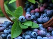 Пять главных продуктов молодости