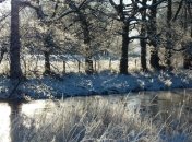 Прогноз погоды в Украине на 18 февраля: будет солнечно