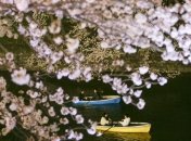 Впервые японцам открыли доступ внутрь императорского дворца