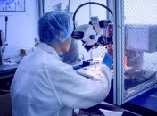 COVID-19 в Чехии: Количество больных в стране превысило тысячу человек