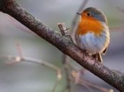 Холода возвращаются: синоптики напугали прогнозом погоды в последний день зимы