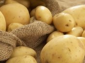 Неурожай картофеля зафиксировали в северных областях Украины