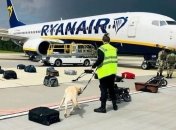 "Мы бы оказали помощь": Лукашенко поймали на лжи о принудительной посадке самолета в Минске