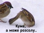 Свято Нового року — це вечеря, що закінчується сніданком...: найкращі жарти в цей день