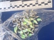 В Киеве полиция изъяла наркотики на сумму в более полмиллиона (Видео)