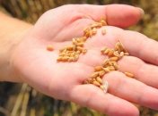 Госстат: сельскохпроизводство сократилось на 4,6%