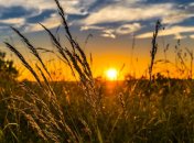 Украинцы в ожидании последнего месяца лета