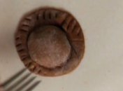 Коричневые равиоли с орехами