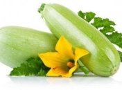 Кабачок в детском питании