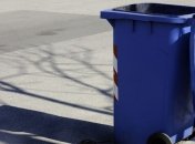 Свалка на Кировоградщине нанесла государству убытков на 7 млн грн