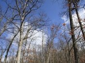 В Укргидрометцентре рассказали, когда придет потепление