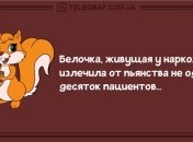 Поделись улыбкою своей: утренние анекдоты 28 января