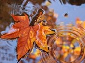 Погода ухудшится: идет похолодание, в ряде областей пройдут дожди