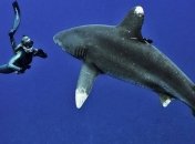 Ученые сделали сенсационное заявление о происхождении человека