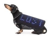 Был разработан LED-плащ, который поможет собаке вернуться к хозяину