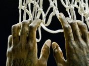 НБА. Результаты матчей. "Майами" разгромили "Сакраменто"