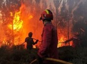 В Португалии горят леса