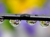 Прогноз погоды в Украине на 24 июня: в половине областей осадки