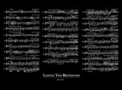 Музыка Бетховена, Баха и Штрауса опасна для водителей