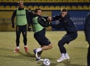 Украина - Финляндия: букмекеры наконец-то поверили в команду Шевченко 