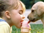 Учные: Собаки испытывают счастье, находясь рядом с хозяином