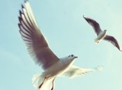 Александров день: приметы и обряды 28 марта