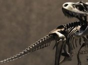 Уникальный скелет динозавра выставят на торги  