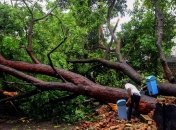 В результате шторма на Шри-Ланке погибли десятки человек