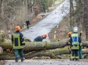 Шквалистий вітер: у половині областей люди залишились без світла