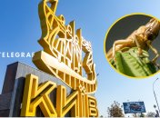 Сарана швидко мігрує