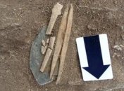 Ученые установили, как появились первые скелеты