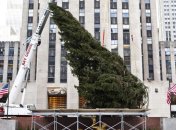 В Нью-Йорке установлена главная в США рождественская елка 