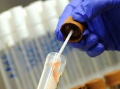 Немецкие ученые обнаружили источник инфекции 