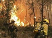 Португалия в огне: количество жертв растет