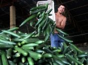 Как использовать огуречную воду