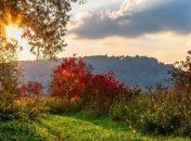 Теплая осень, но готовимся к похолоданию: прогноз погоды 11 сентября