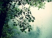 Прогноз погоды в Украине на 28 июля: ожидаются дожди