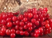 Калина поможет в лечении пигментных пятен